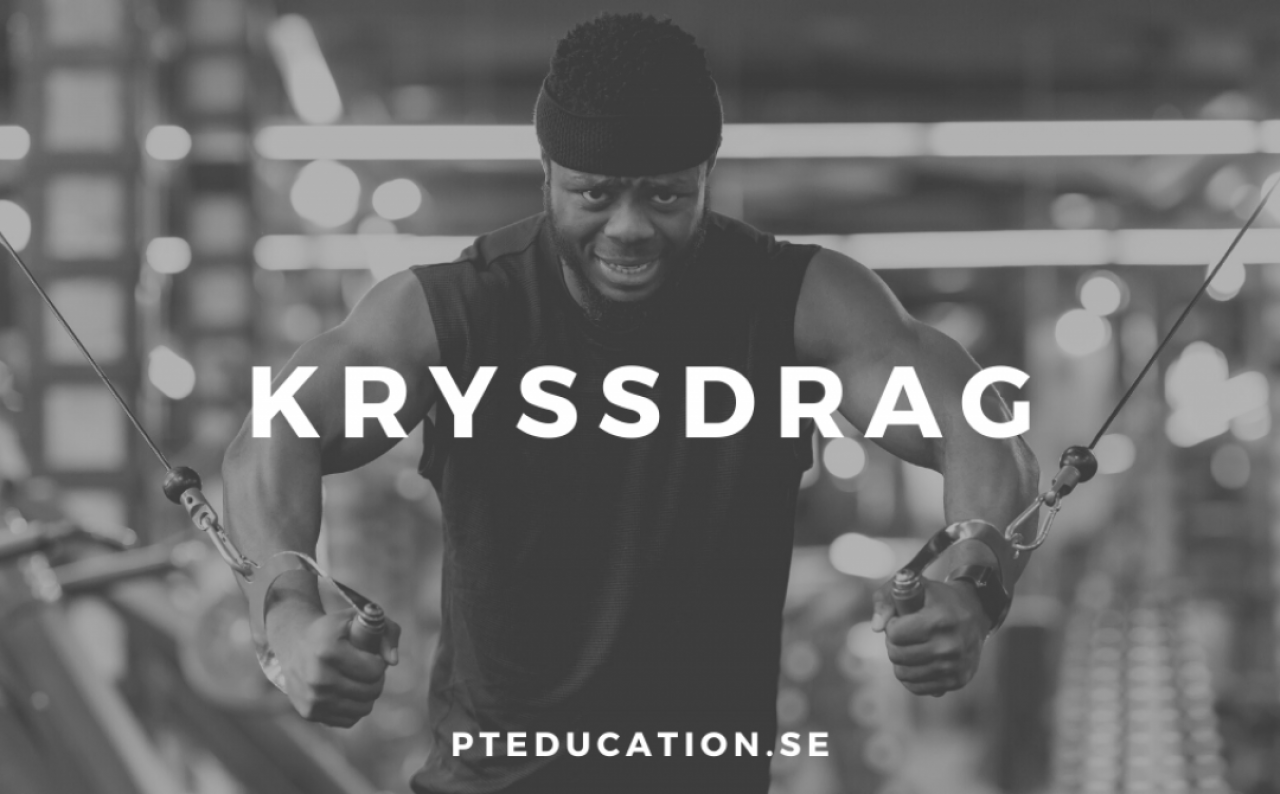 Kryssdrag