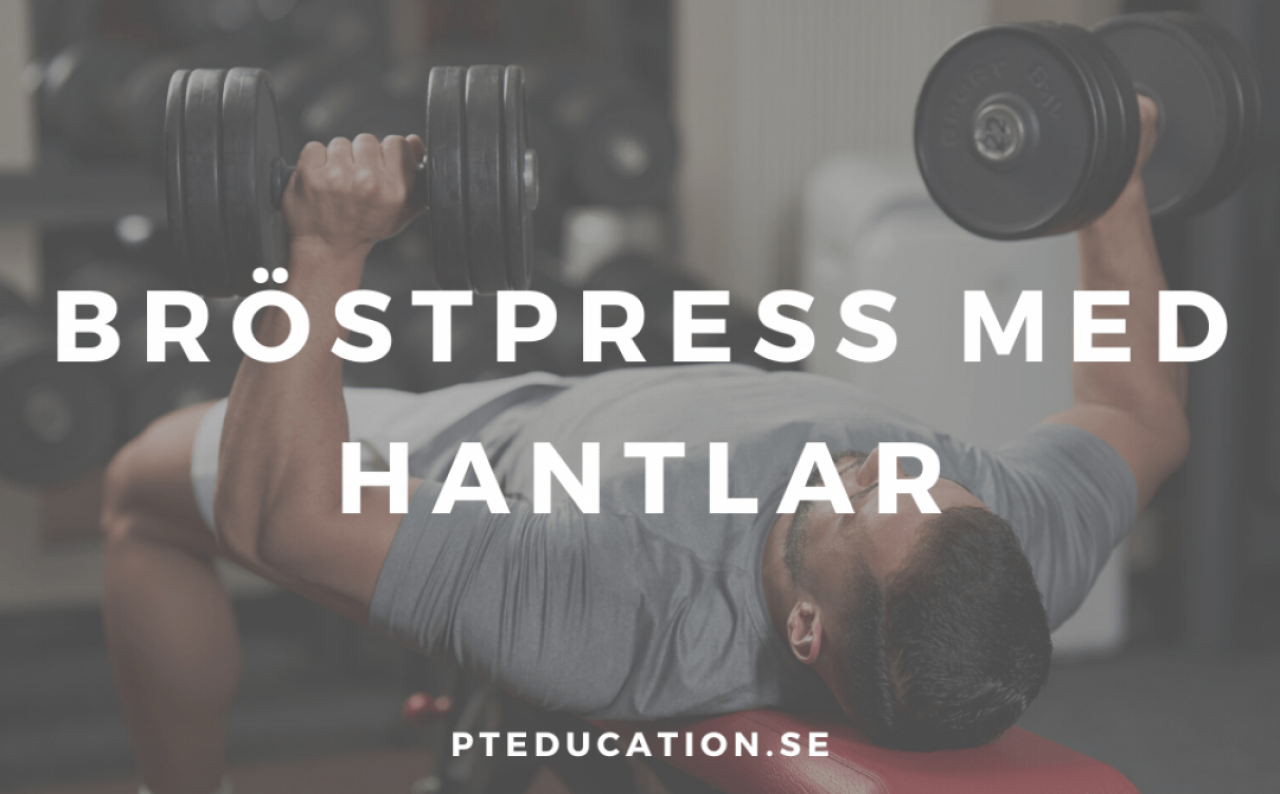 Bröstpress med hantlar